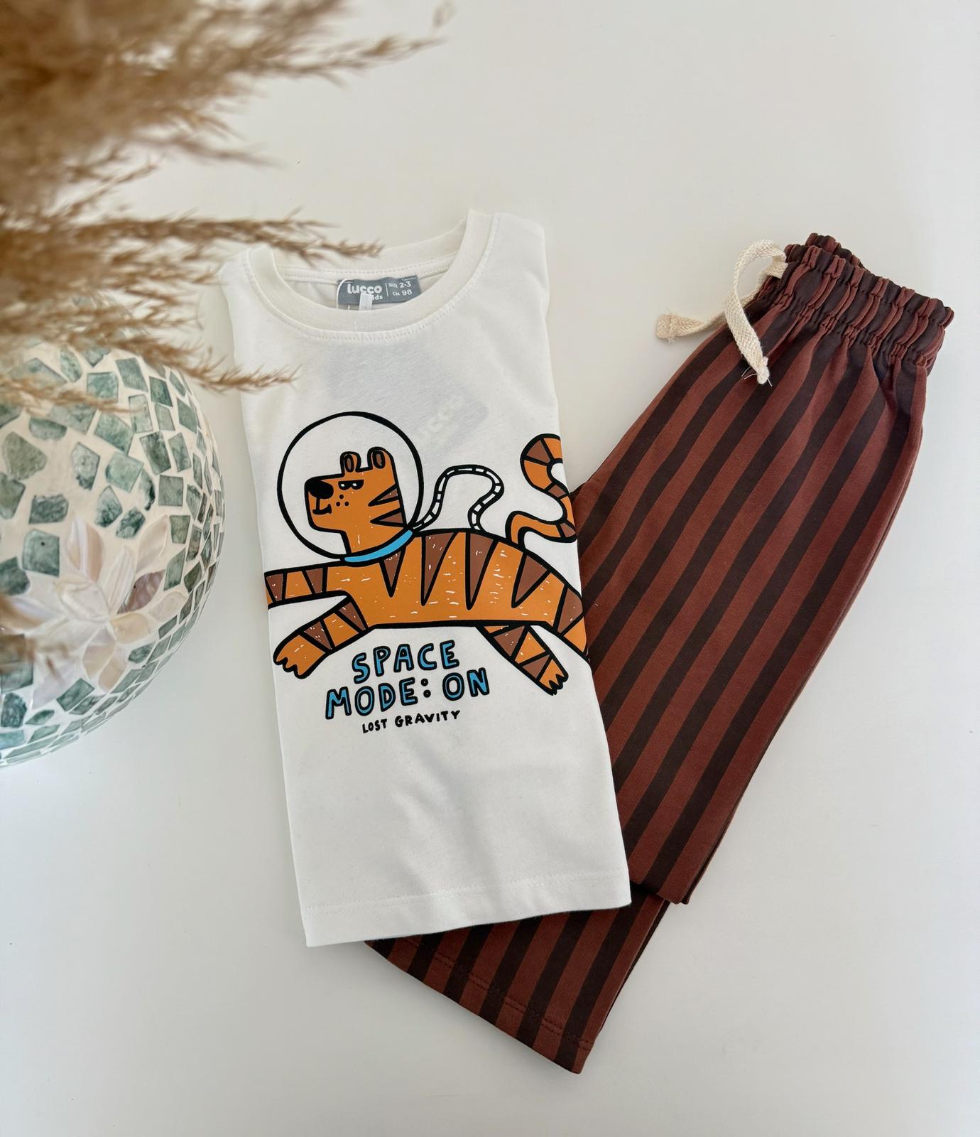 Tiger Mevsimlik Çizgili Pantolonlu Takım - Görsel 4