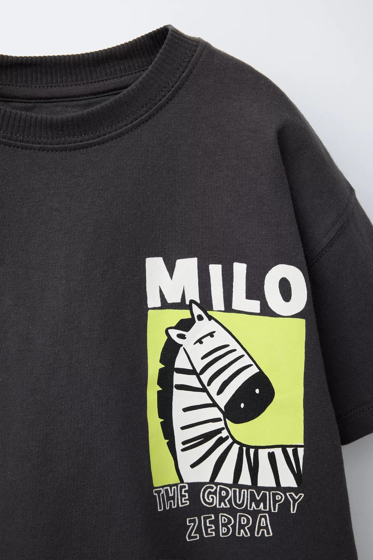 Zebra Şortlu Takım - Görsel 4